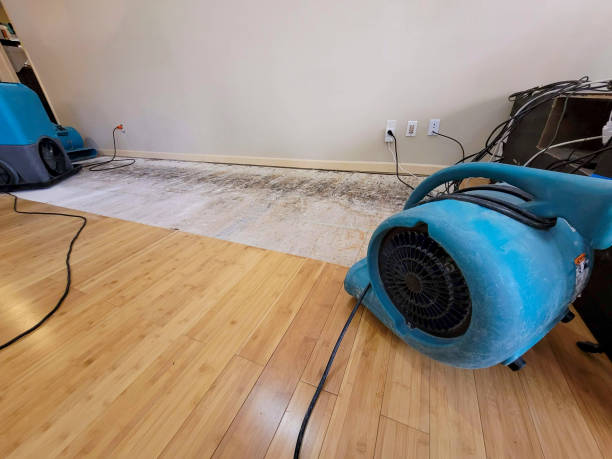 Professional Water Damage Repair technician working in Bristol, VA